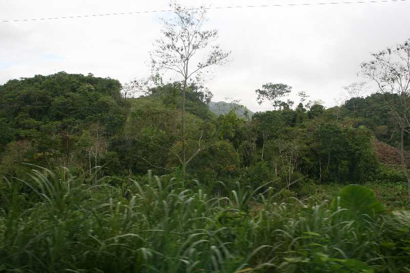 Mexico & Guatemala 2010 - 0256